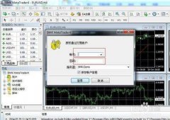 外汇如何网上开户？外汇网上开户怎么操作？